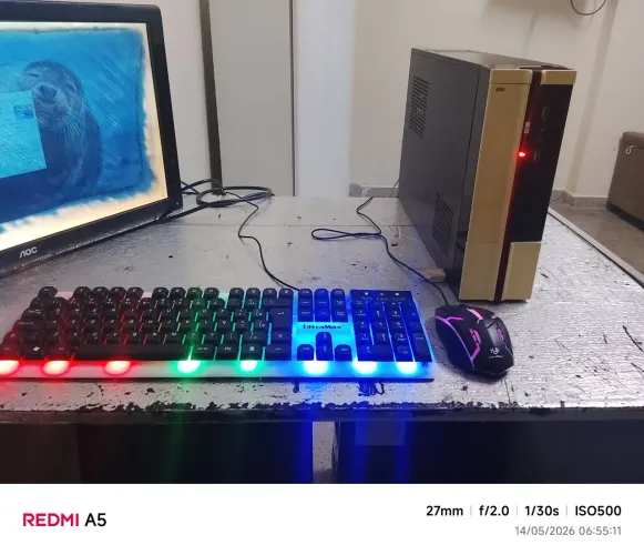 Vendo cpu fusionando 100% com teclado e mause  
