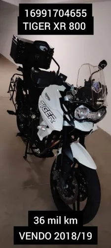 TIGER XR 800