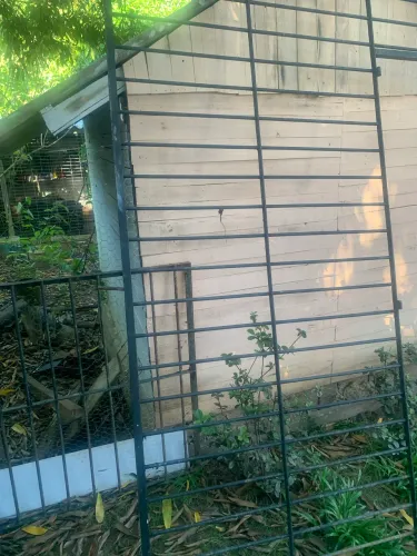 Grade de ferro com porta