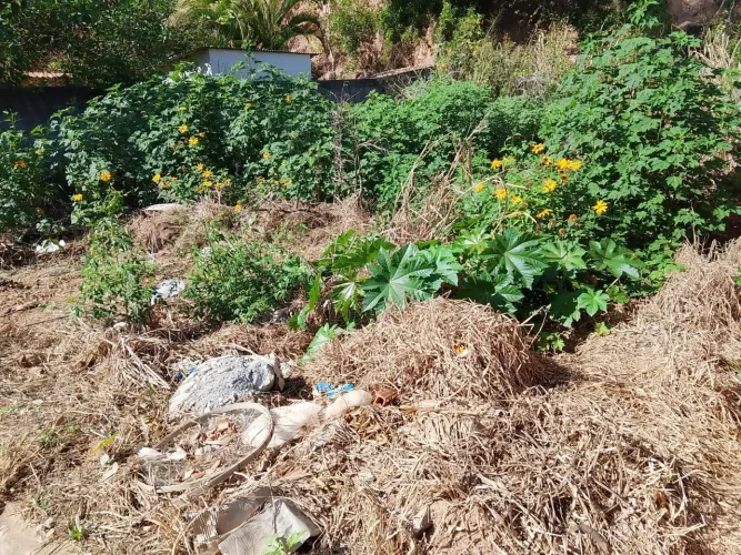 Casas e terrenos em itaipava praia