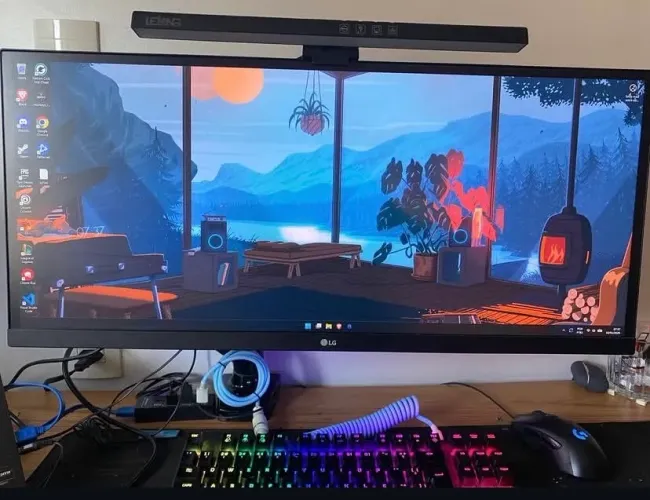 Monitor LG Ultrawide + Braço articulado