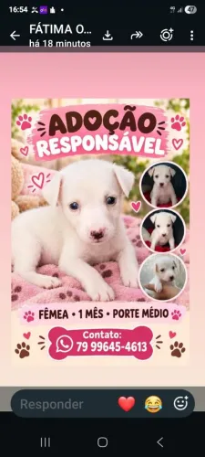 Mais fotos da Belíssima BB