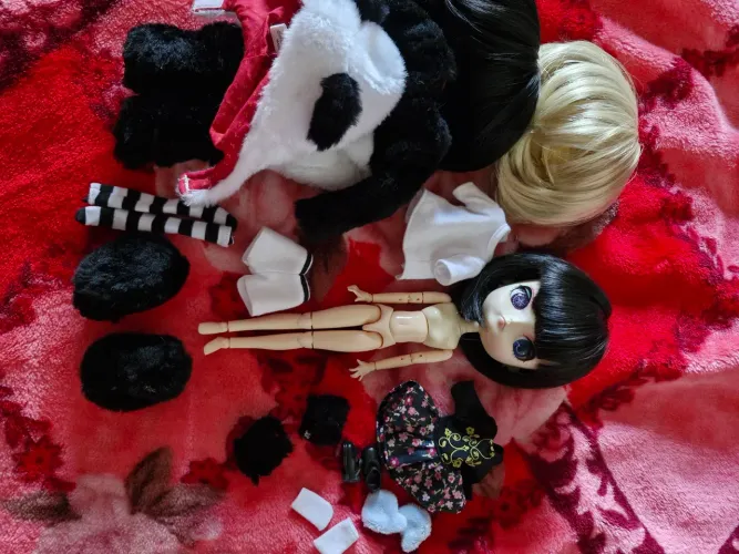 Pullip dal Ciel lady incompleta