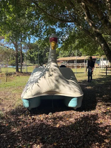 Pedalinho de Cisnei