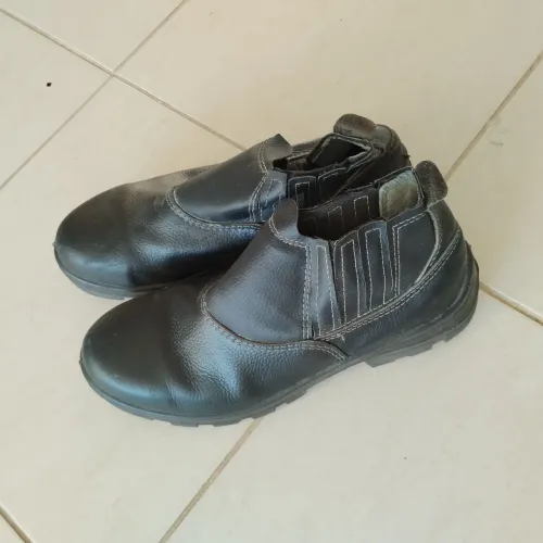 Bota