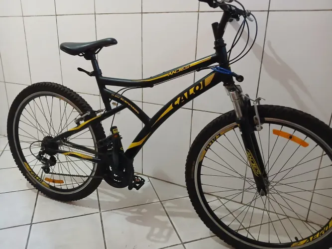 Bicicleta Caloi Andes 21v