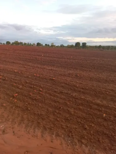 Fazenda a venda, Pontal do Araguaia Mato Grosso