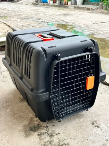Caixa de transportar pet