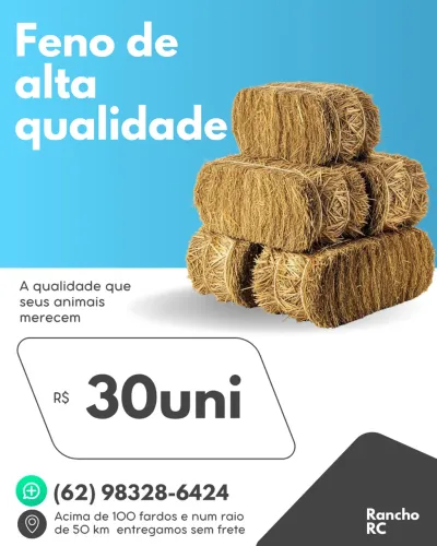 Feno alfafa e aveia