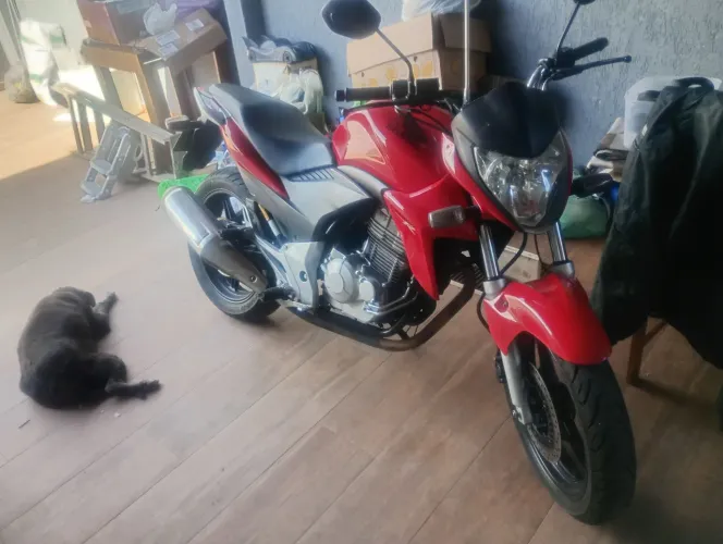 Cb 300r 2015