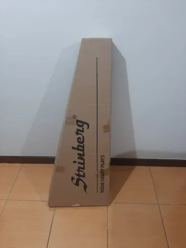 Vende Guitarra Strinberg Les Paul