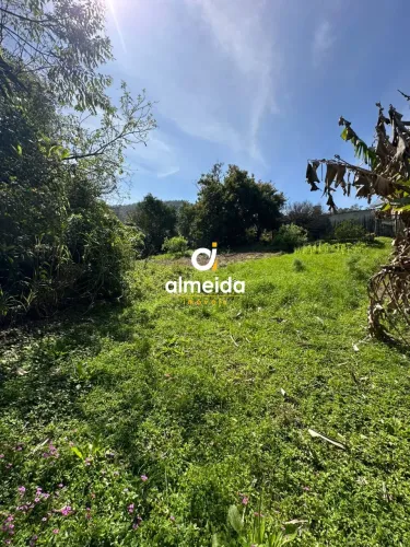 Chácara 1 dormitórios à venda Nossa Senhora do Perpétuo Socorro Santa Maria/RS