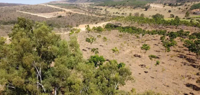 Imóvel para venda com 20000 metros quadrados em Zona Rural - Cordisburgo - MG