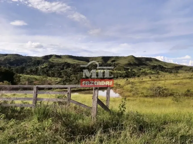 Sitio 16,5 alqueires (80 hectares) Cocalzinho de goias - GO