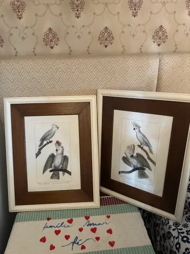 Lindo quadro