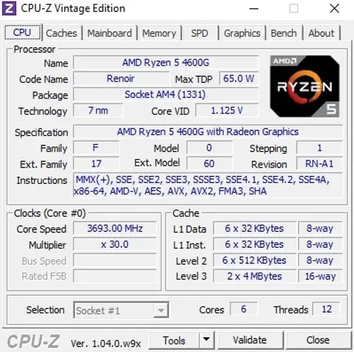 Ryzen 5 4600g