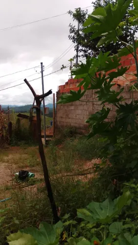 Casa com terreno. barata