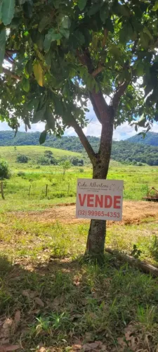 Propriedade Rural com 30 ha distrito de Ituí - São João Nepomuceno MG