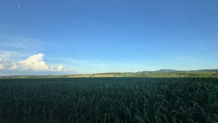 Fazenda a Venda  - Itaberaí - GO