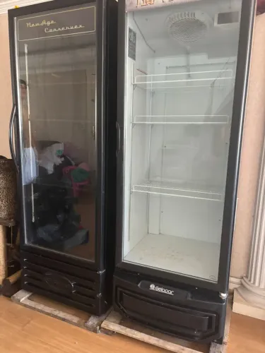 Um freezer e uma geladeira expositora 220V