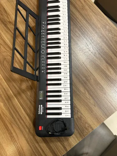 Teclado Musical  Waldman Classtone WTS-100.