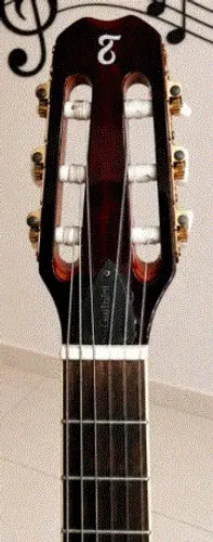 Violão Tagima Classic Steel Nylon Ventura zerado c/pedestal!