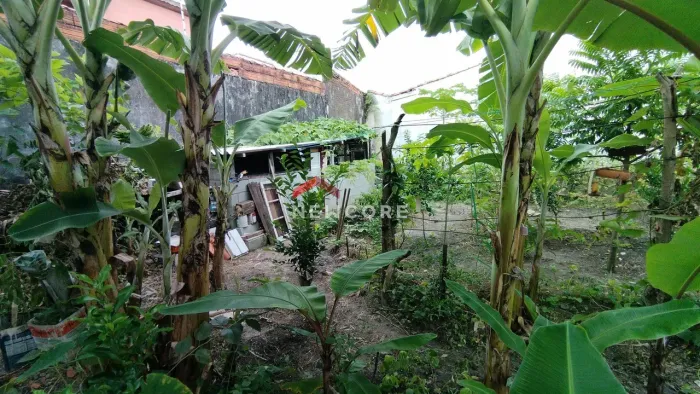 Lote em Avenida Roge Ferreira - Suarão - Itanhaém/SP