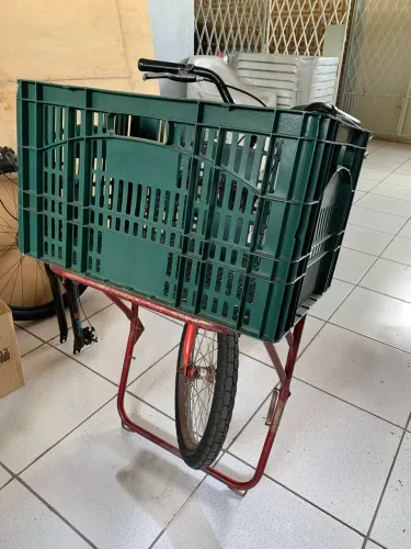 Bicicleta cargueira 