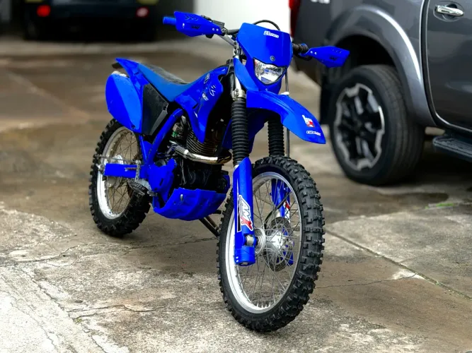 TTR 230 2022