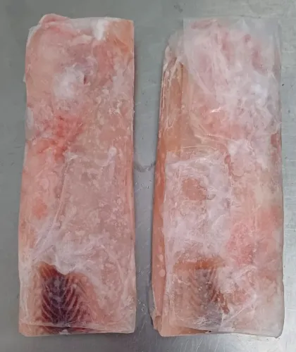 Filé de peixe 