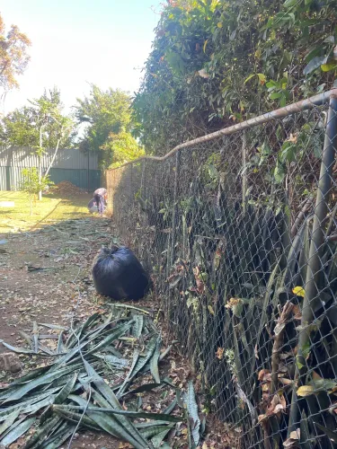 Tela para cerca 