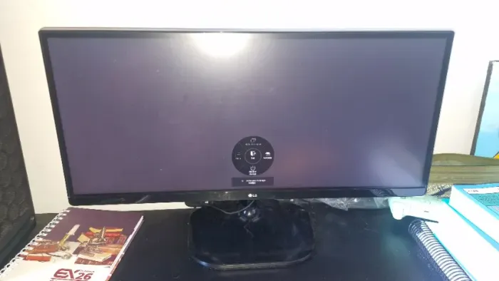 Monitor Gamer LG Flatron 25UM58-0P 75Hz - Usado