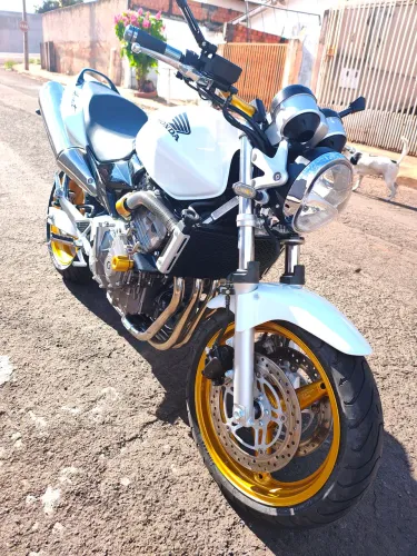 Hornet 600