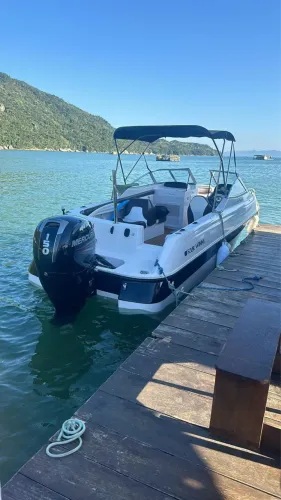 Four Winns 205 motor mercury 150hp 4 tempo