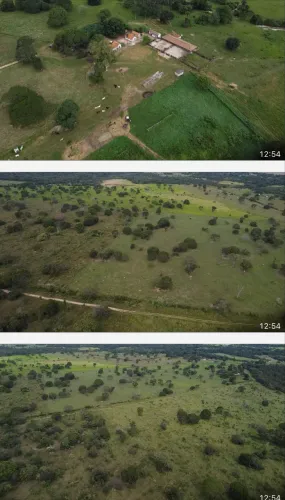 Fazeda dupla aptidão João pinheiro Minas Gerais