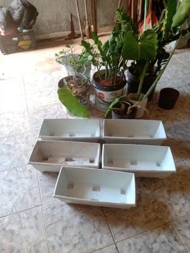 Plantas + Floreiras.