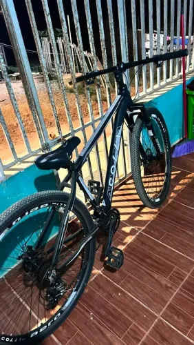 Bicicleta