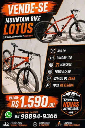 Bicicleta Lotus aro 29