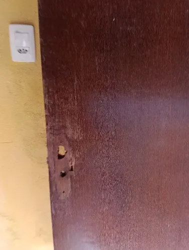 Folha de porta
