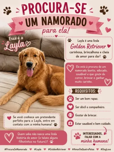 Procura de um namorado