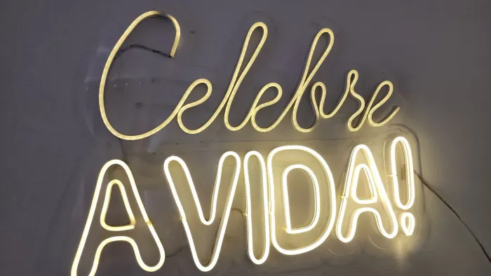 Painel Neon Led Celebre A Vida Luminoso