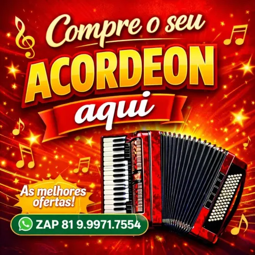 ACORDEON OU SANFONA ? É A MESMA COISA... Compre o seu ou a sua aqui... As melhores