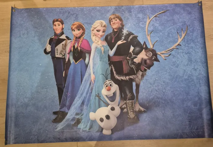 painel banner lona frozen