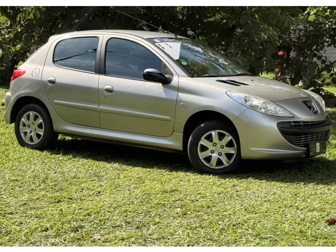 Peugeot 207 XR 1.4 Flex 8V 5P 2011