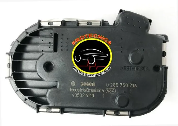 Corpo de Borboleta Tbi