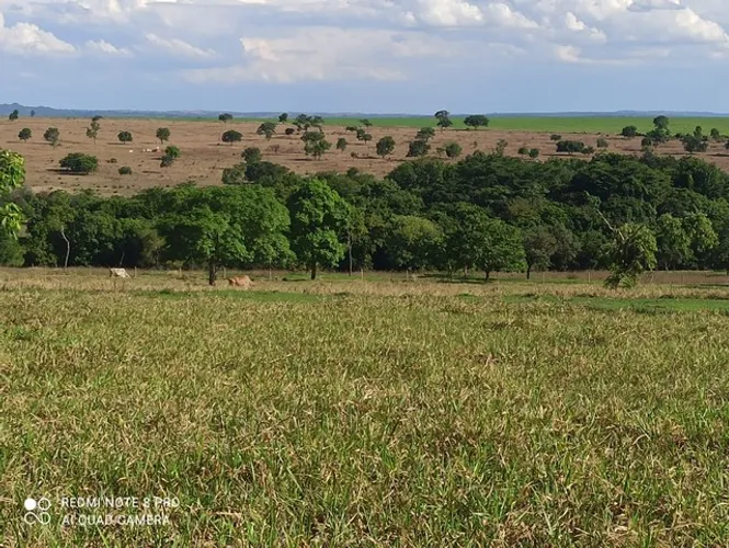 Fazenda 113 alqueires plantando 50 alqueires em Ipora-GO