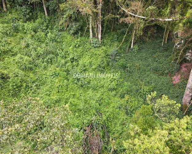 Belo Lote de Terreno à Venda na Região do Alto da Vila Inglesa - Campos do Jordão/SP