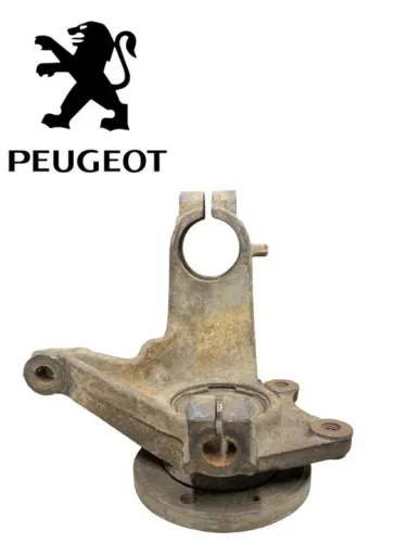 Montante Manga de Eixo Lado Esquerdo Peugeot 206