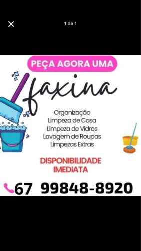 FAXINA