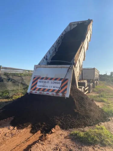 Esterco Bovino de Confinamento 